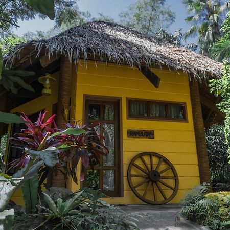 Forest Camp Valencia  Экстерьер фото