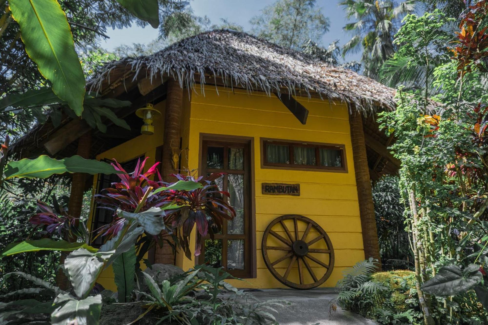 Forest Camp Valencia  Экстерьер фото