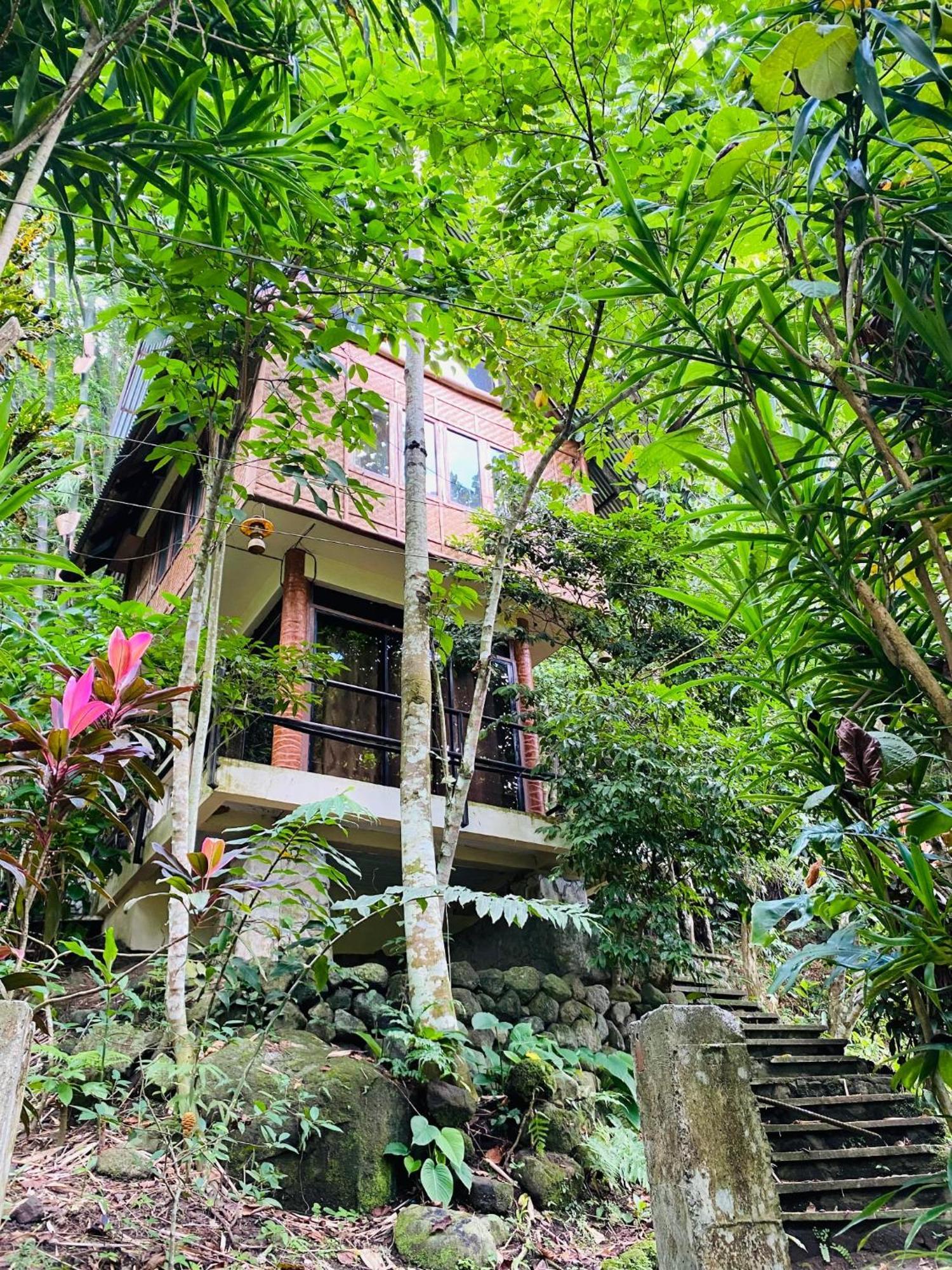 Forest Camp Valencia  Экстерьер фото